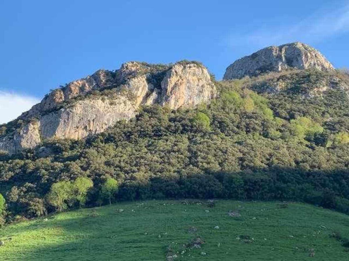 Cumbres De Los Picos Apartamento Los Abedules Poo  ภายนอก รูปภาพ