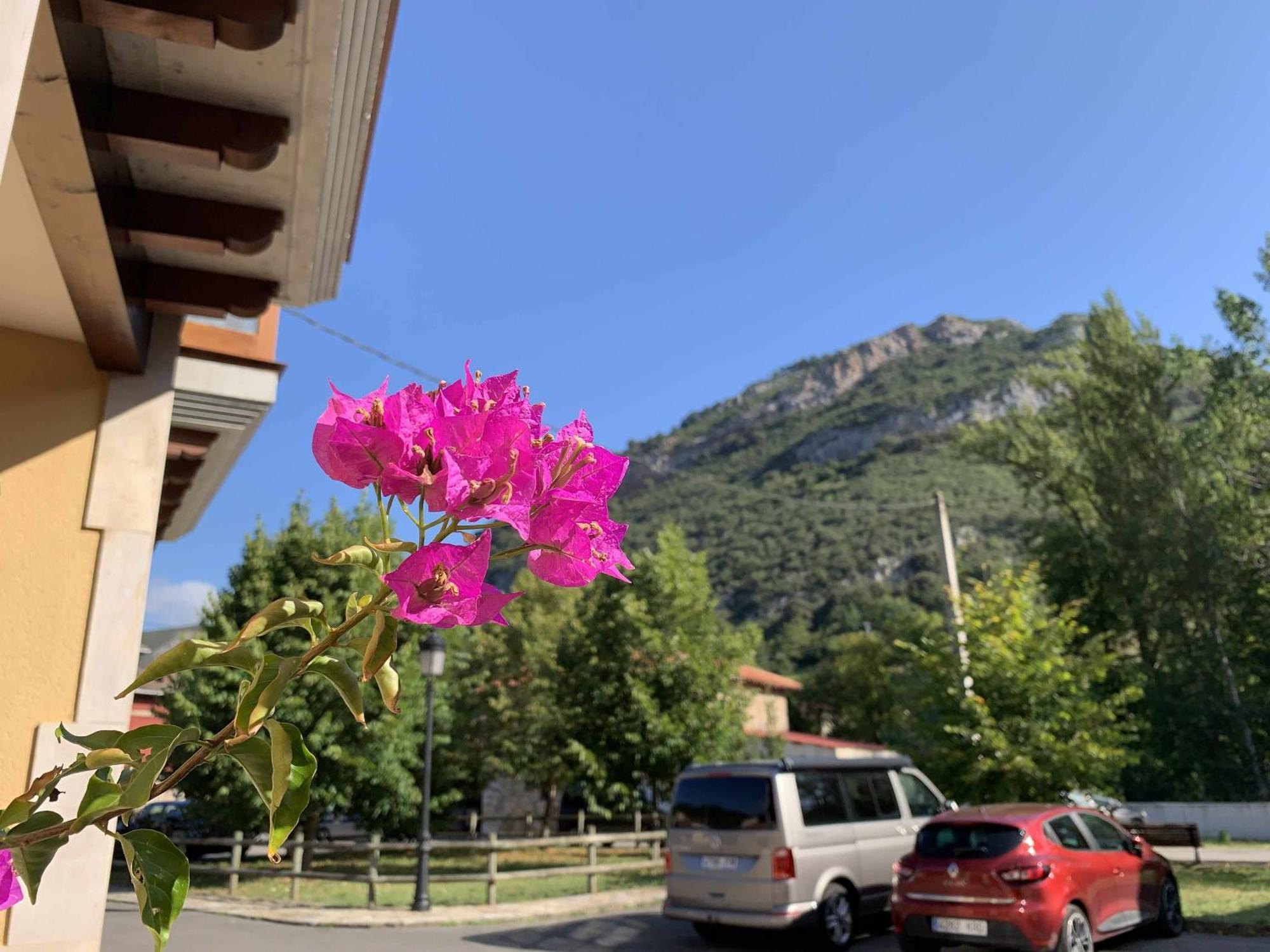 Cumbres De Los Picos Apartamento Los Abedules Poo  ภายนอก รูปภาพ
